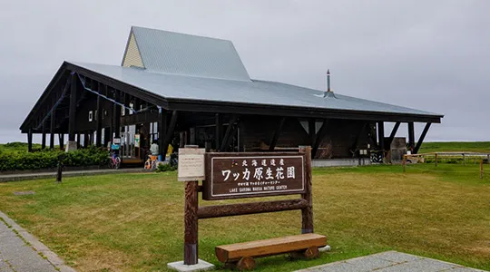 ワッカ原生花園