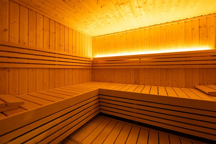 ヒグマ お部屋のサウナ